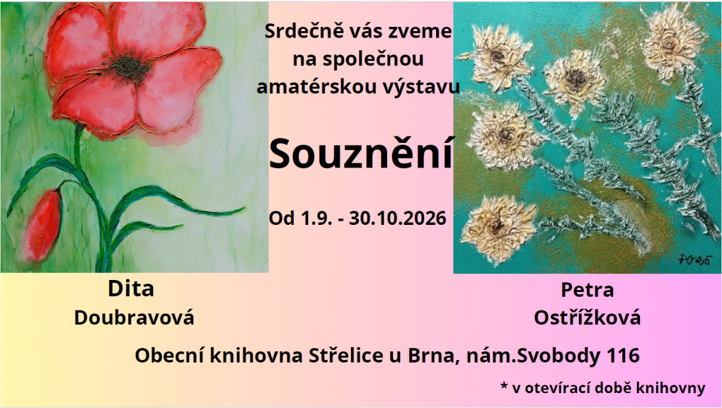 vastava_souzneni.png